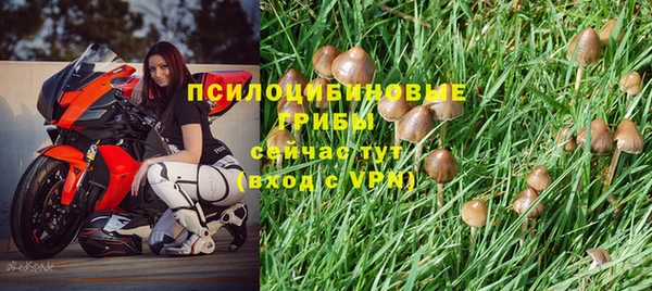 каннабис Осташков