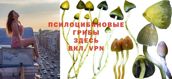 скорость Няндома